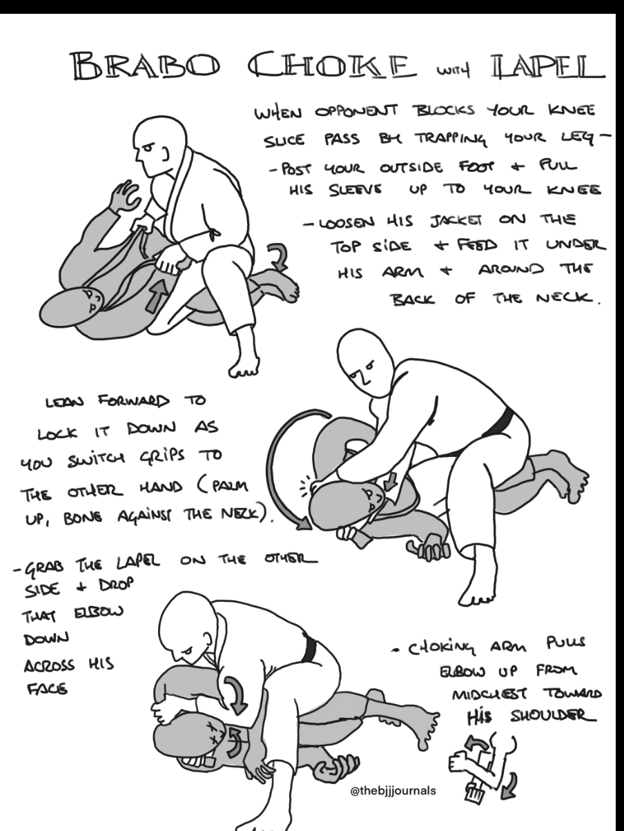 Jiu Jitsu Digital Camp Notes Trilogy: 2022-2024