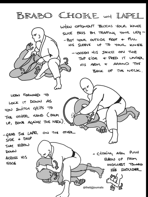 Jiu Jitsu Digital Camp Notes Trilogy: 2022-2024